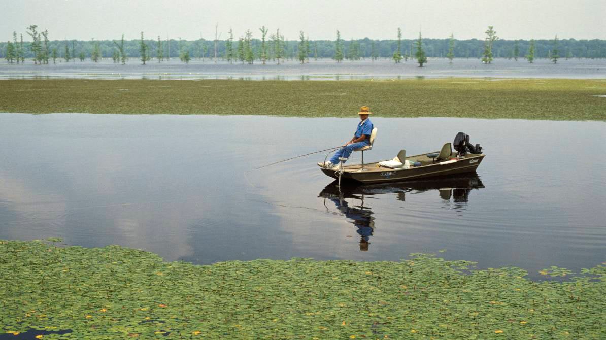 Person fishing from a boat in a wetland area