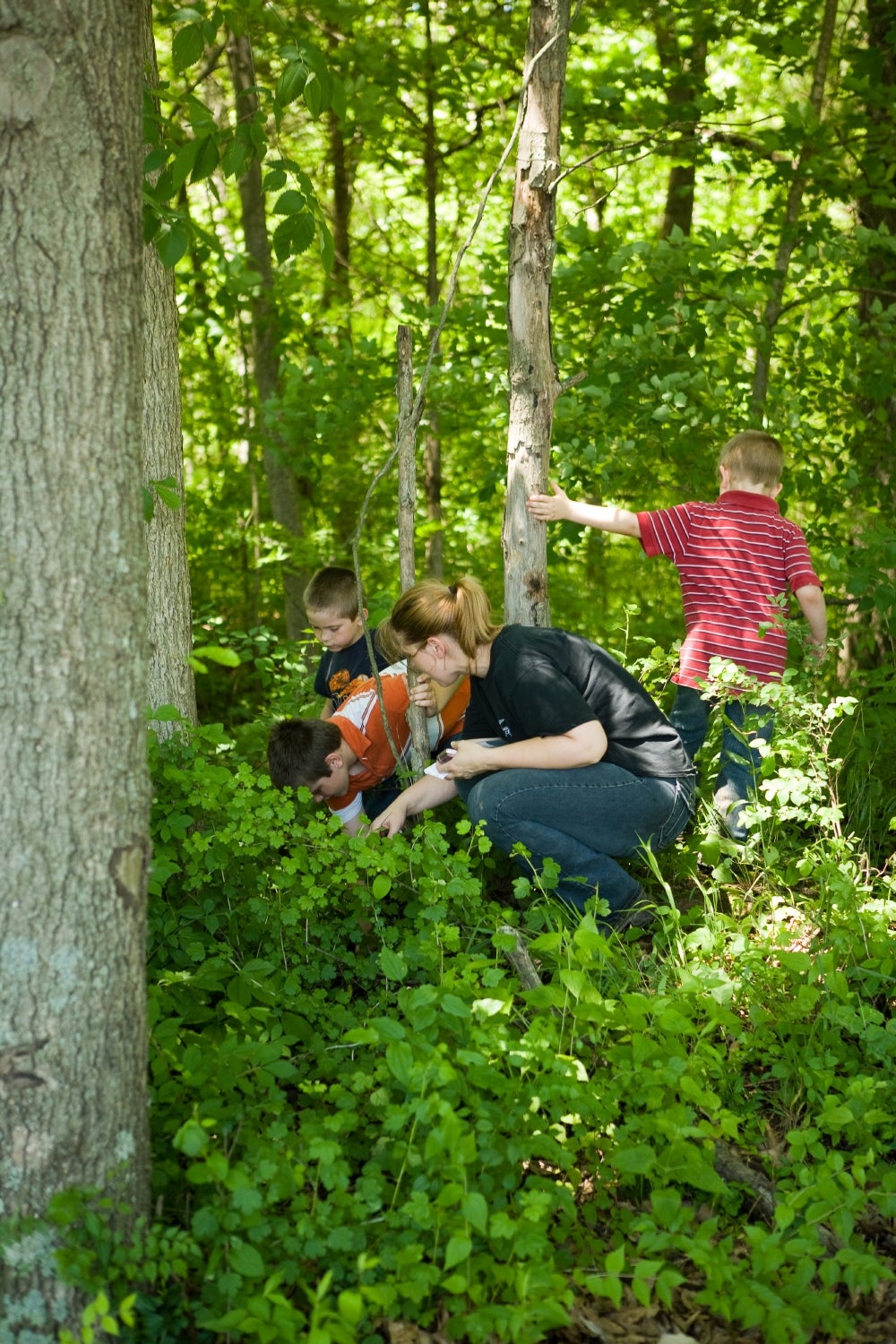 Family in woods looking for a geocache