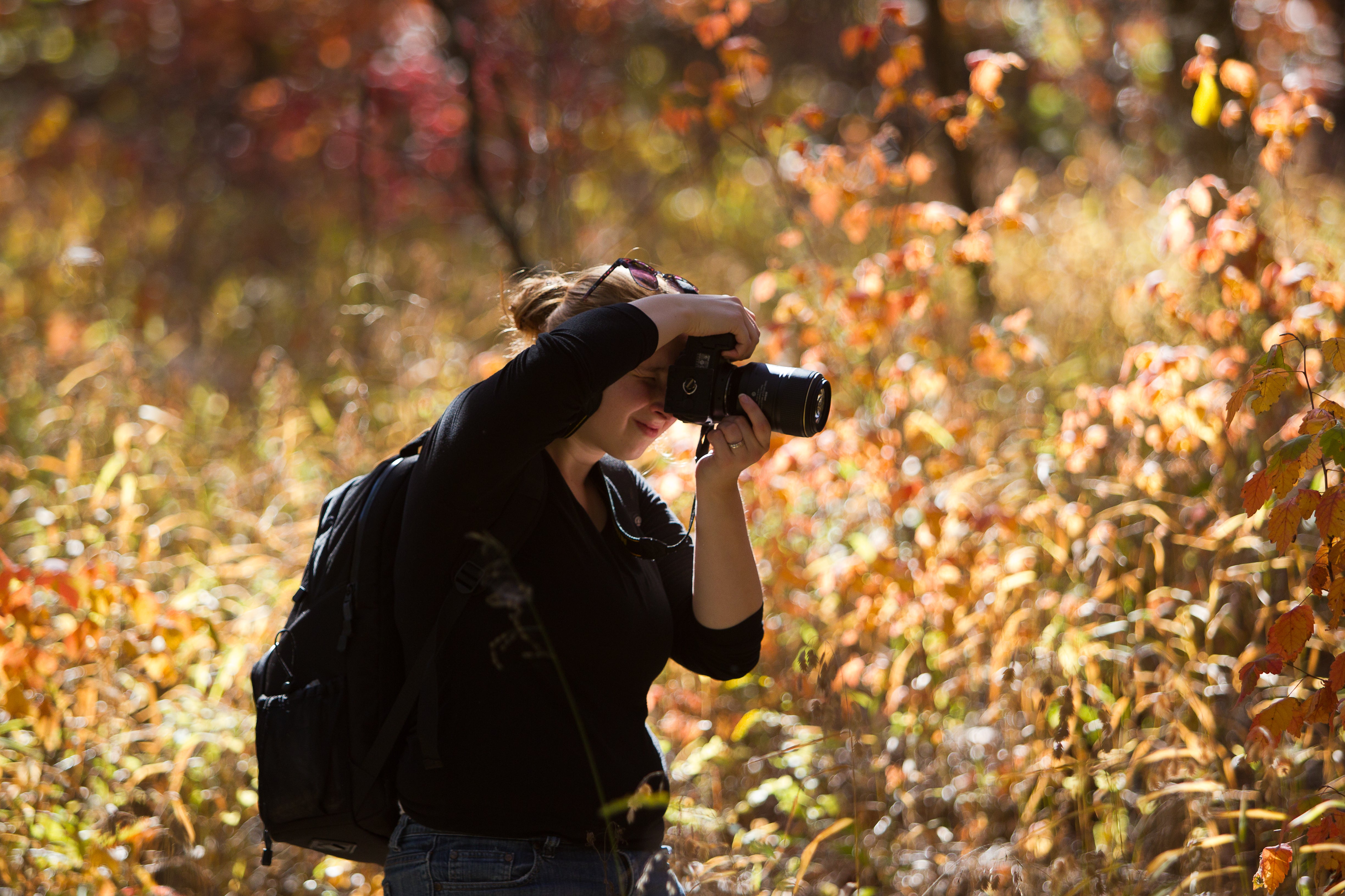 A woman takes a photograph in a field in autumn.