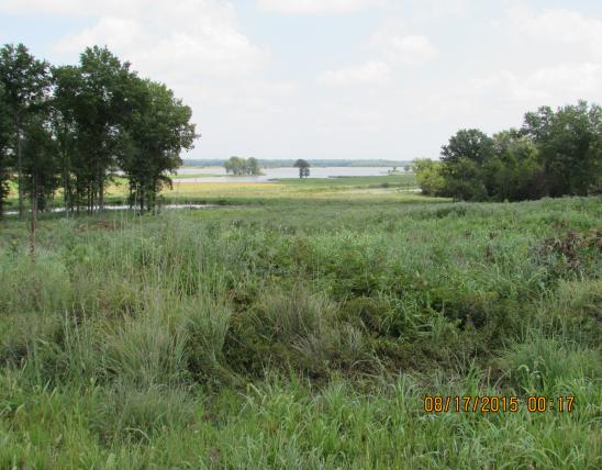Grassy field with lakes in background at Schell Osage CA
