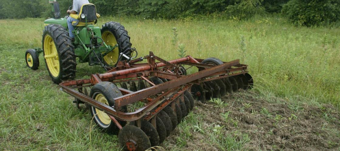 A man on a tractor pulls disk to promote ragweed growth