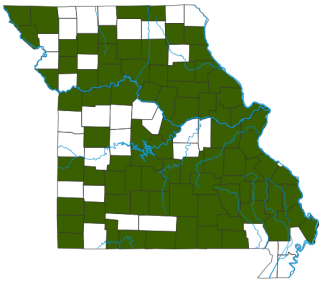 American Woodcock Distribution Map