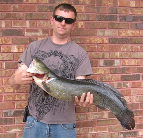 David Warren holds his Missouri state-record bowfin.