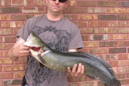 David Warren holds his Missouri state-record bowfin.