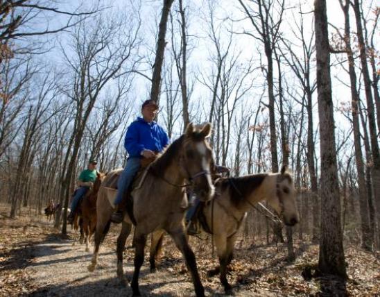 A rider on horseback on a wooded trail.