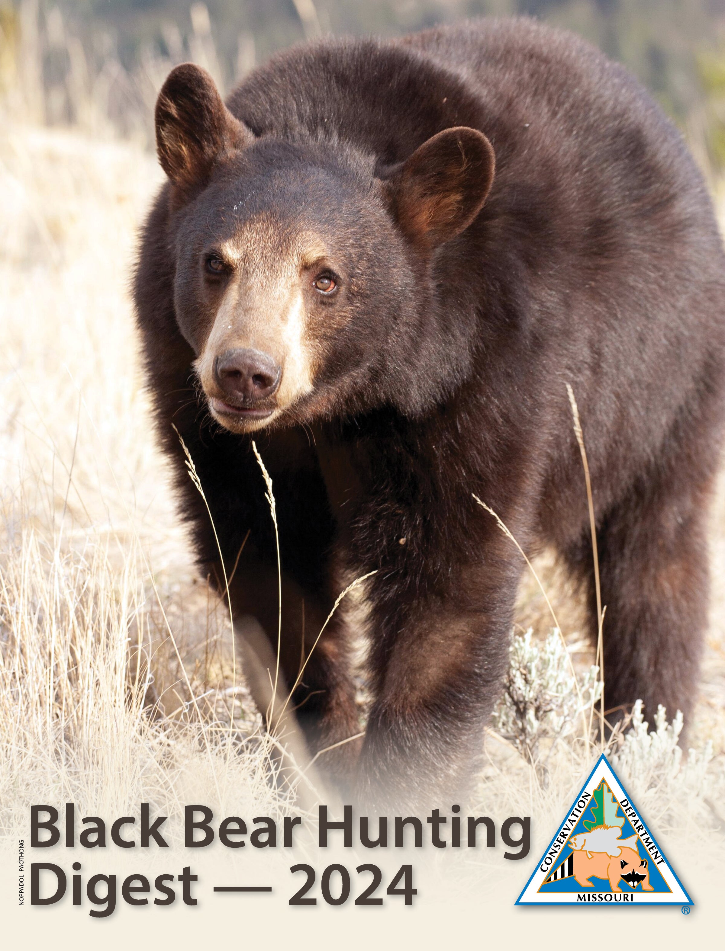 2024 Black Bear Hunting Digest