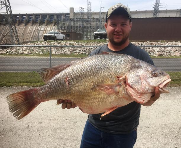 Joshua Cole and his record freshwater drum