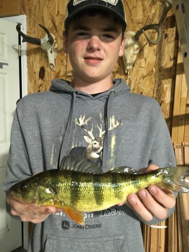 Isaac Bohm holding his State Record Yellow Perch