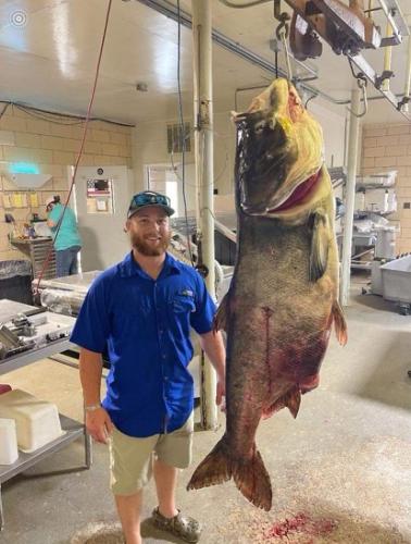 Matthew Neuling standing next to his bighead carp that is hanging from the ceiling.