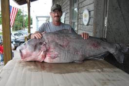 Greg Bernal and his state record blue catfish