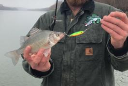Bryant Rackers holds his state record white perch