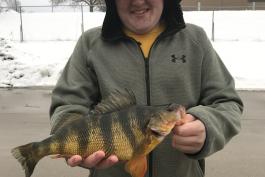 Tyler Halley holds his state record yellow perch