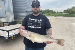 Tim Stilling in black ball cap and sunglasses, with outstretched arms, holds walleye. 