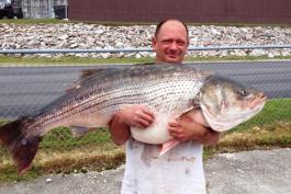 State-Record Striped Bass
