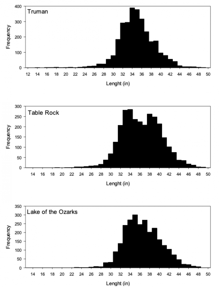 Charts showing the lenght/frequecy of Truman Reservoir, Table Rock Lake, and Lake of the Ozarks