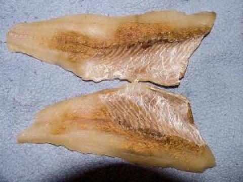 Sandy flesh shown in two filets